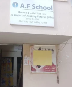 Branch VIII - Allah Wala Town